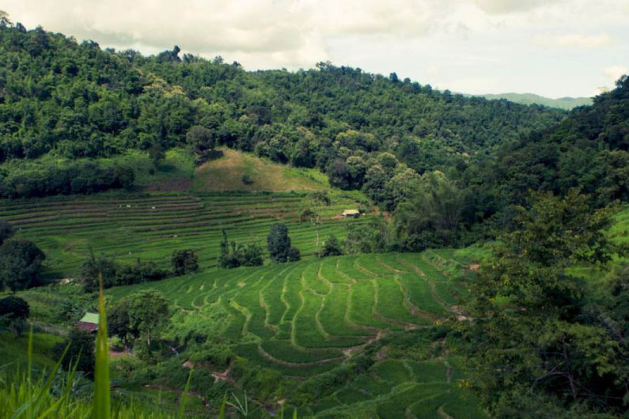 Randonnée Akha d’une journée depuis Chiang Rai – Immersion authentique en Thaïlande