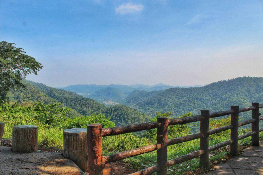 Découverte de la faune et de la flore de Khao Yai