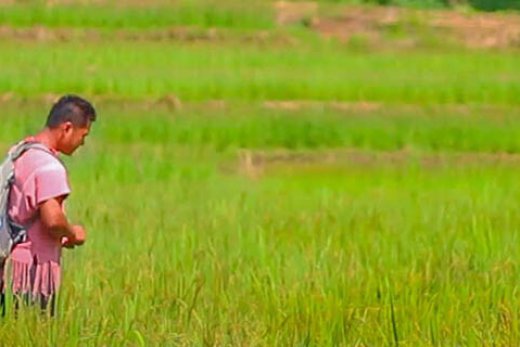 Les différents types de trekking à Chiang Mai