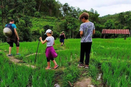 Randonnées en français sur Chiang Mai