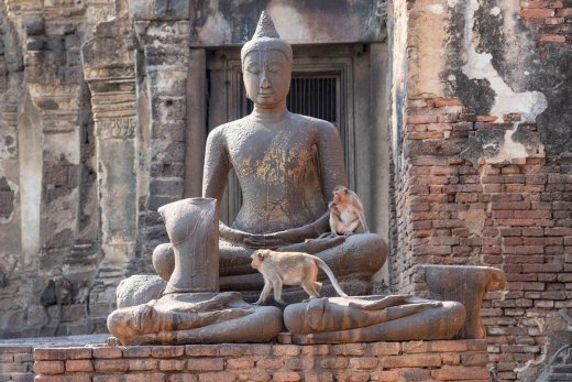 Guide de Lopburi, la ville aux singes